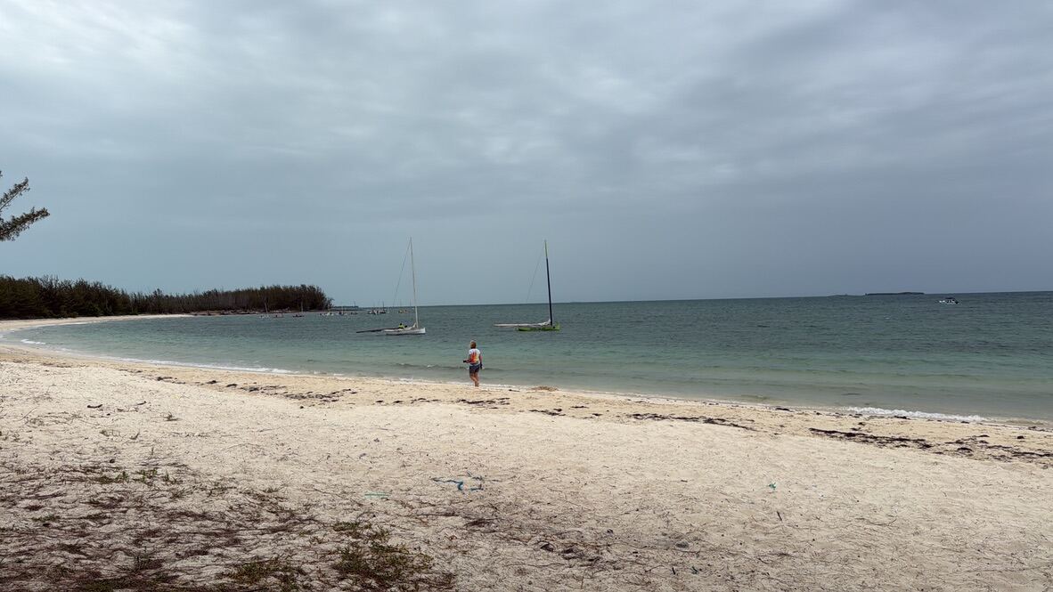Walking the beach