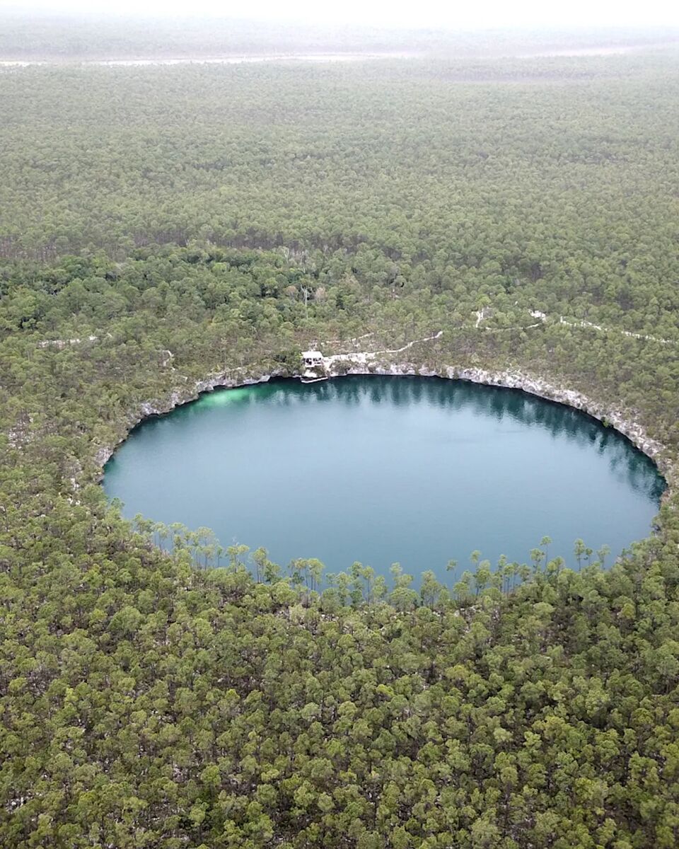 Aerial view of a circular Andros blue hole in the pine forest