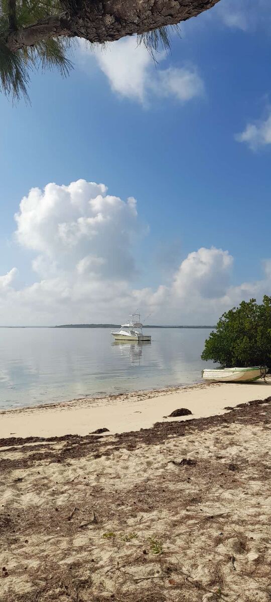 Boat in calm water
