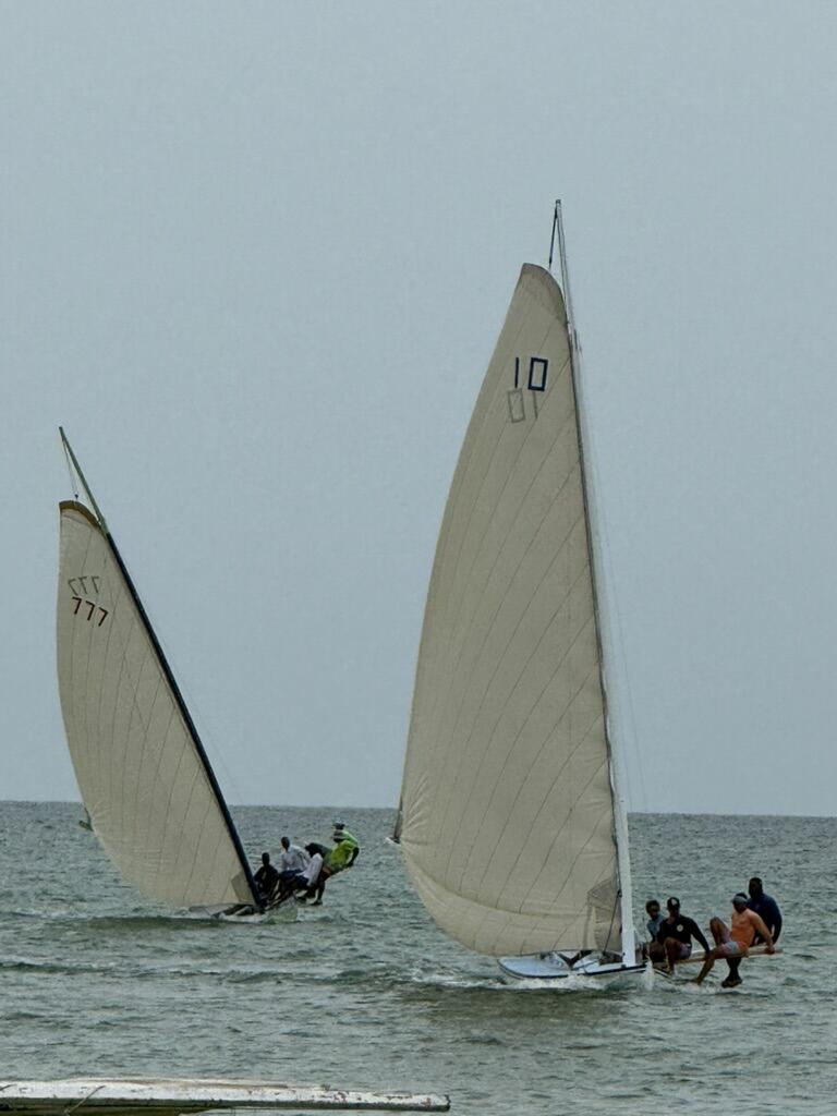 Sailboat racing