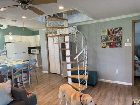 Spiral staircase